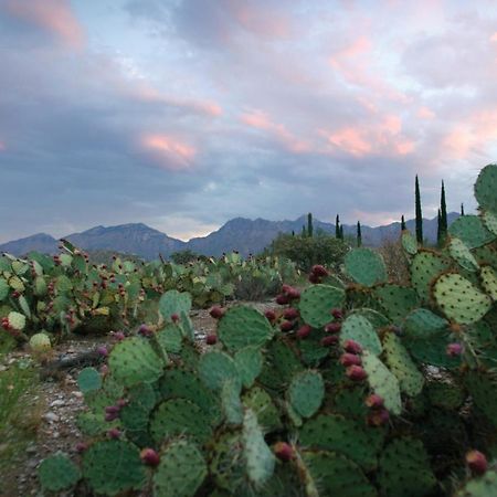 Canyon Ranch Tucson Mount Lemmont エクステリア 写真